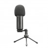Trust GXT 252 Emita Plus - Studio Microfoon met Arm - Gaming - USB - Zwart