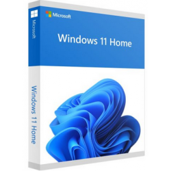 Windows 11 Home - box pack - 1 licence - USB Flash Drive