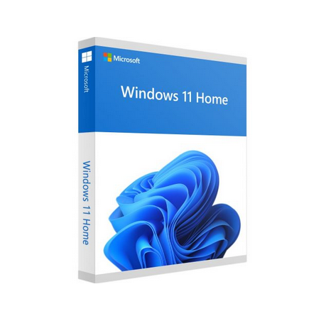 Windows 11 Home - box pack - 1 licence - USB Flash Drive