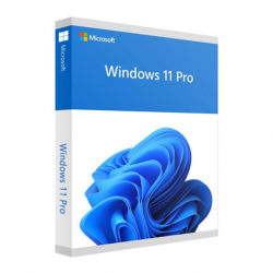 Windows 11 Pro - box pack - 1 licence - USB Flash Drive