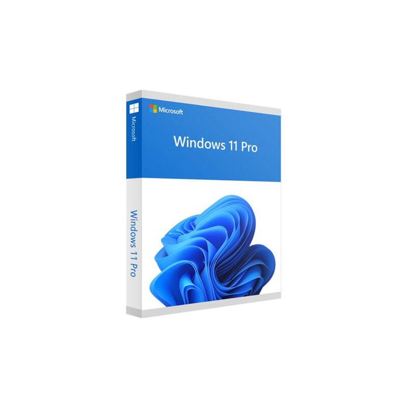 Windows 11 Pro - box pack - 1 licence - USB Flash Drive